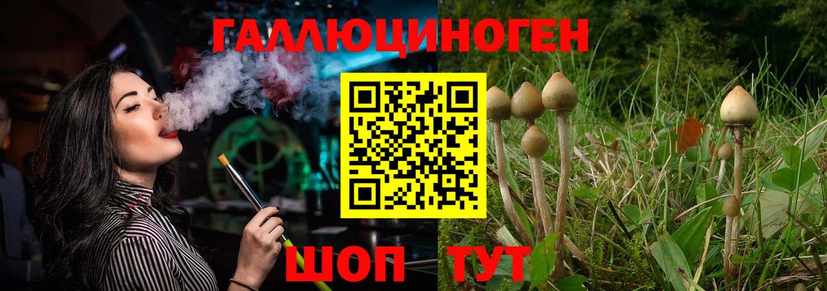 Псилоцибиновые грибы Cubensis Саянск